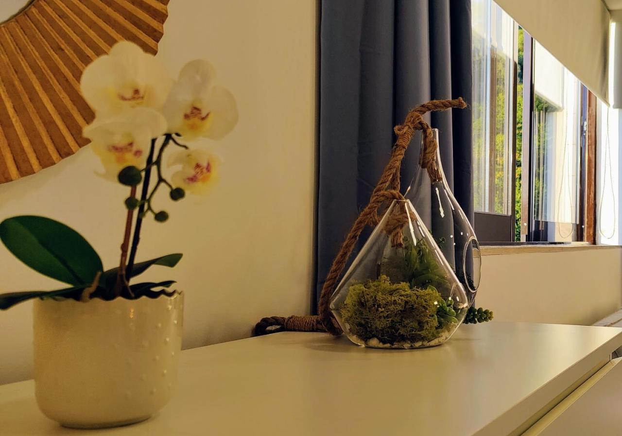 Stylish And Elegant Studio - Best View And Location In Coimbra Downton Exterior photo